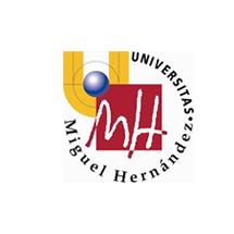 Universidad Miguel Hernández de Elche
