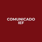 IEF – Kit (cuadrado) (3)
